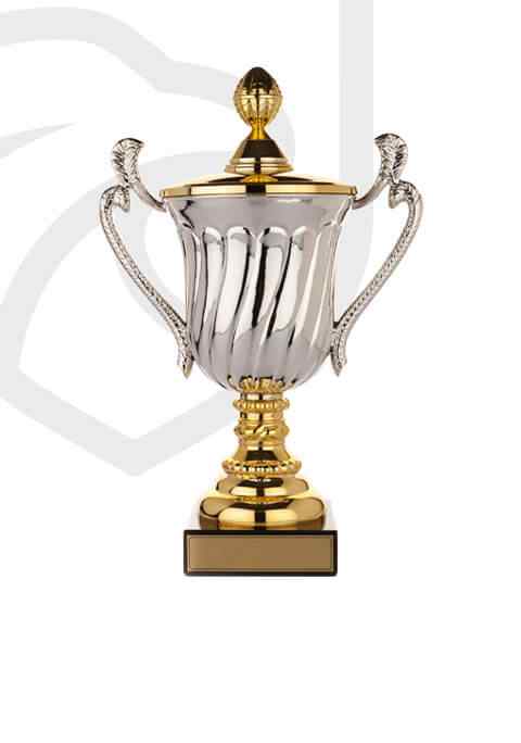 https://clubstore.pro/wp-content/uploads/trophy_overlay_02.jpg